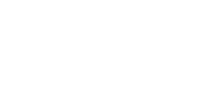 Arag-1.png