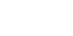 Arag-1-1.png